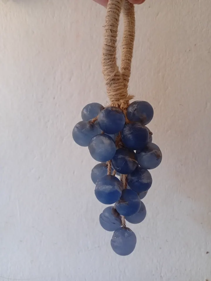Foto da aluna: cacho de uva azul pendurado pela corda