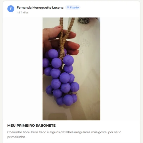 Post na comunidade: aluna mostra seu primeiro sabonete de cacho de uva lilás